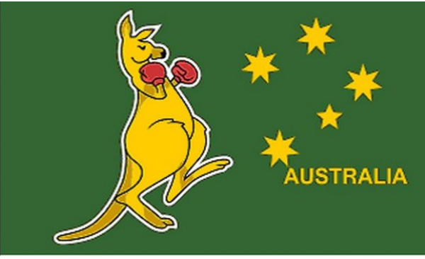 Boxing Kangaroo