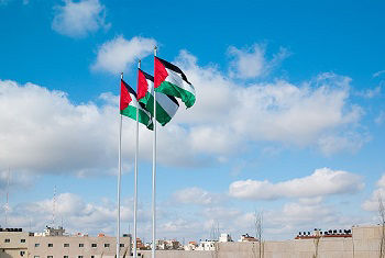 A row of Palestine flags flies